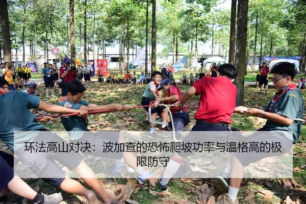 环法高山对决：波加查的恐怖爬坡功率与温格高的极限防守